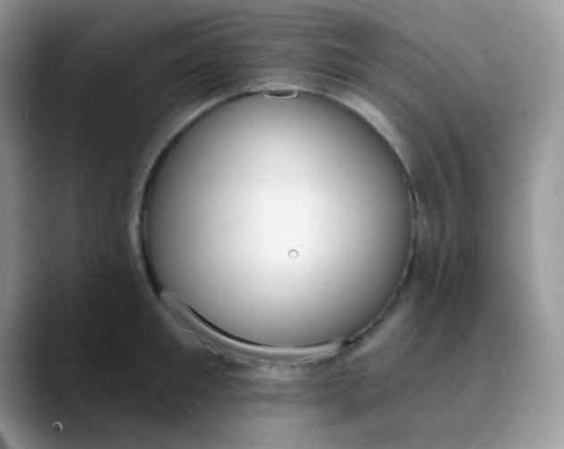 X0000089860901200707191918