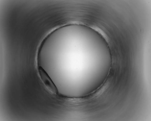 X0000089860902200707191918