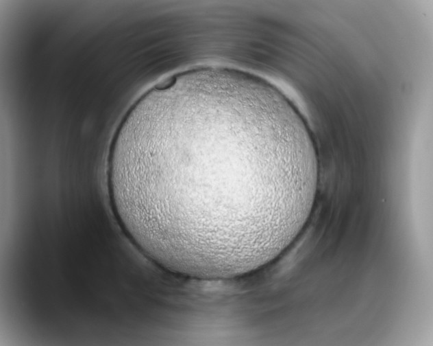 X0000089860903200707191918