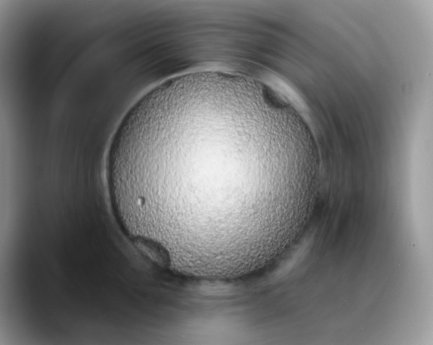 X0000089860907200707191918