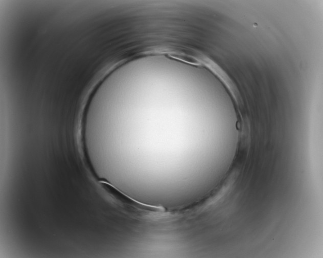 X0000089860909200707191918