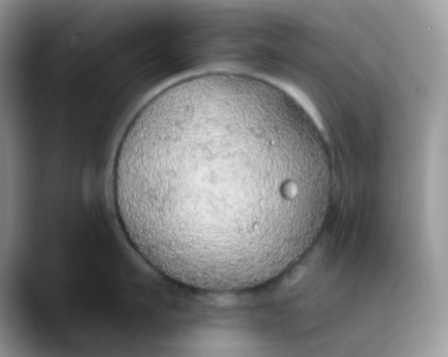 X0000089860911200707191918