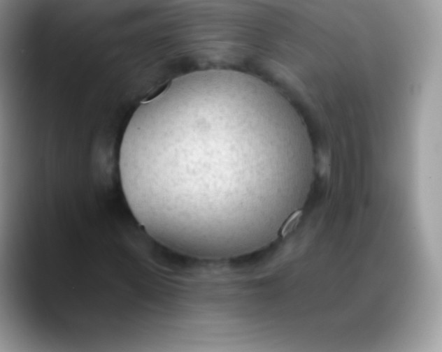 X0000089860915200707191917