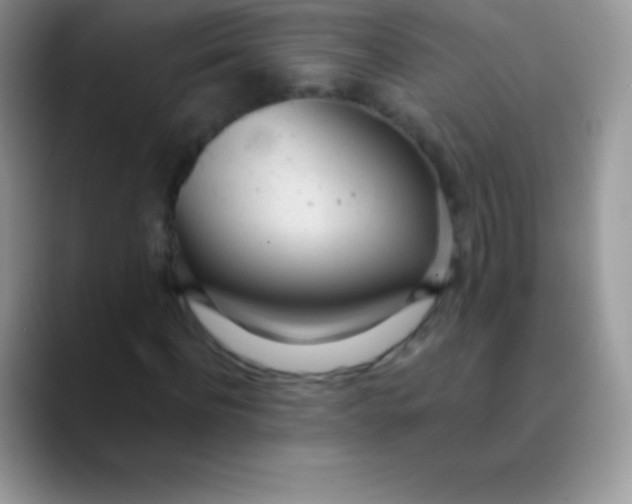 X0000089860916200707191917