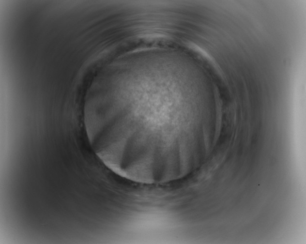 X0000089860919200707191917