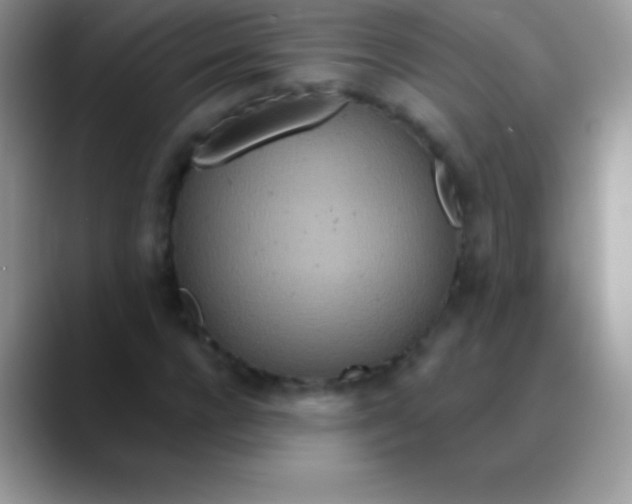 X0000089860920200707191917