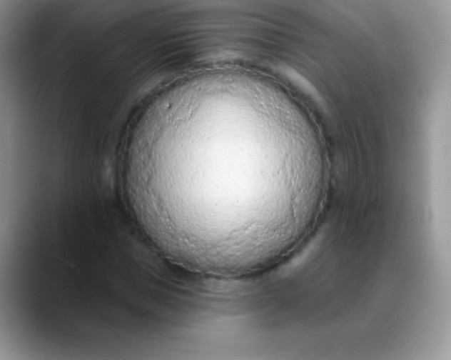 X0000089860921200707191917