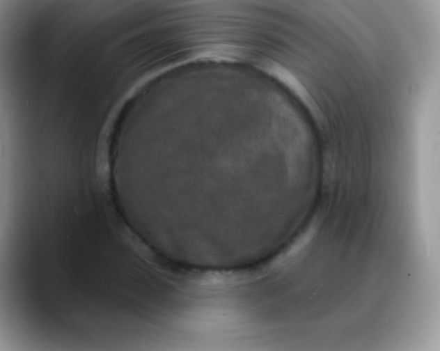 X0000089860923200707191918