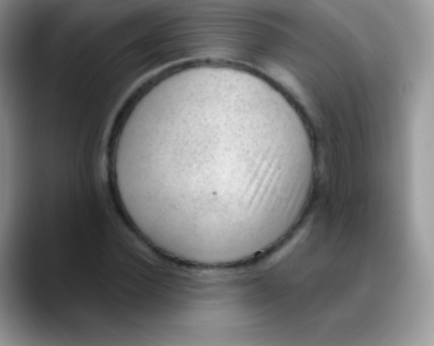 X0000089860924200707191918