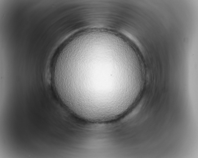 X0000089860925200707191918