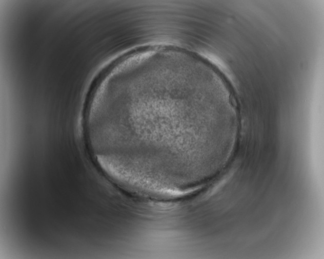 X0000089860928200707191918