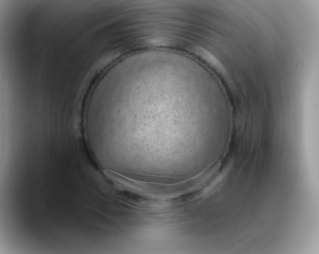 X0000089860930200707191918