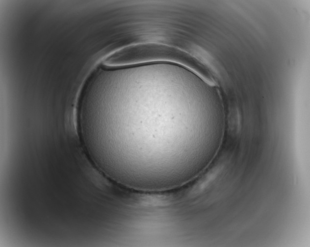 X0000089860932200707191918