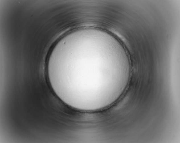 X0000089860933200707191918