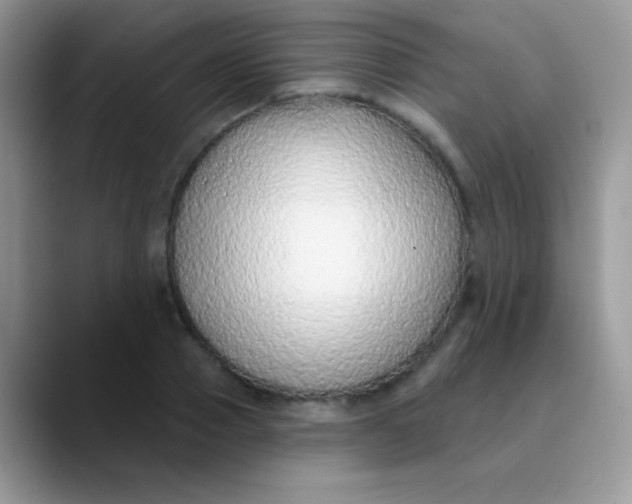 X0000089860937200707191918