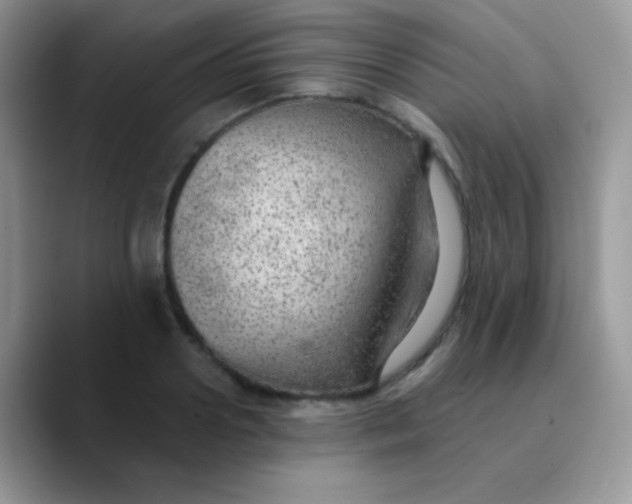 X0000089860938200707191918