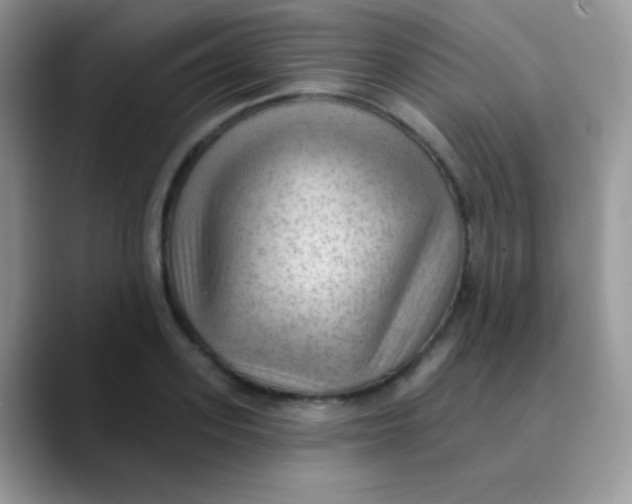 X0000089860939200707191918