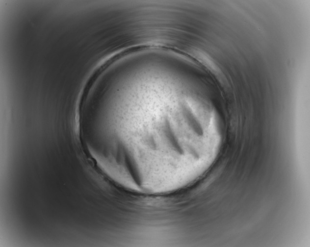 X0000089860940200707191918