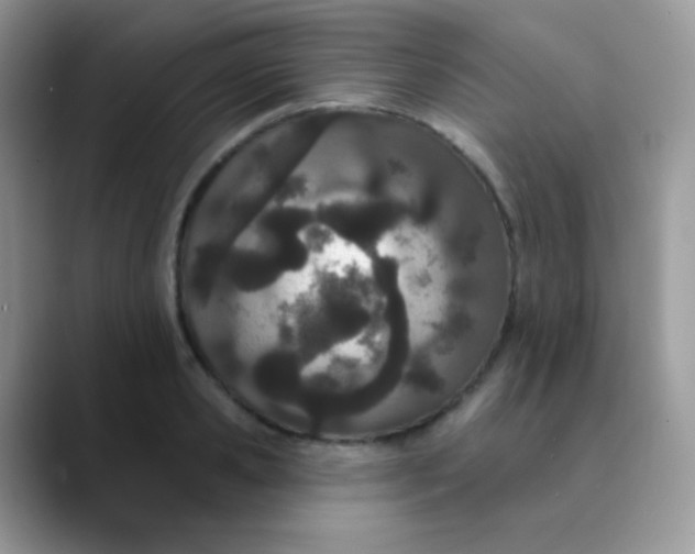 X0000089860941200707191918