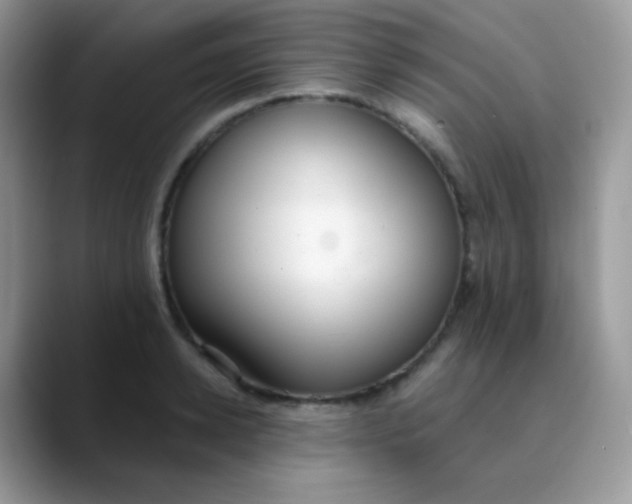 X0000089860942200707191918