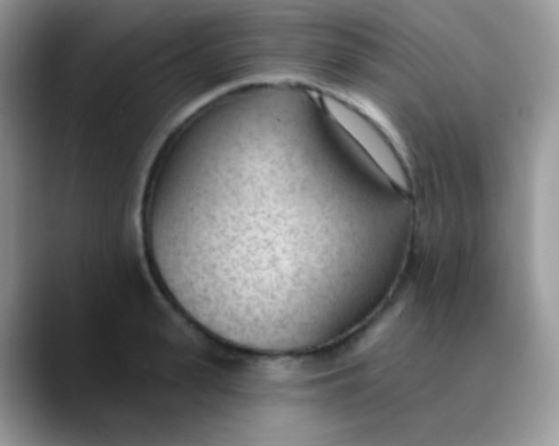 X0000089860943200707191918