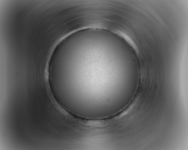 X0000089860944200707191918