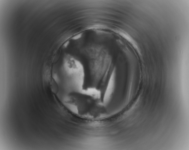 X0000089860945200707191918