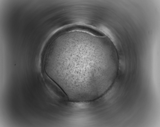 X0000089860948200707191918