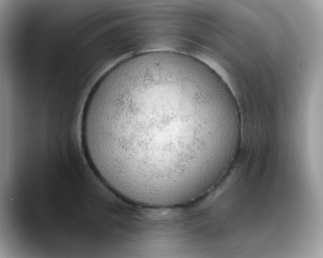 X0000089860949200707191918