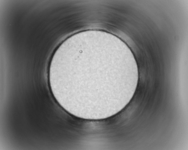 X0000089860950200707191918