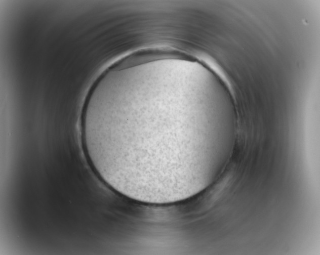 X0000089860951200707191918