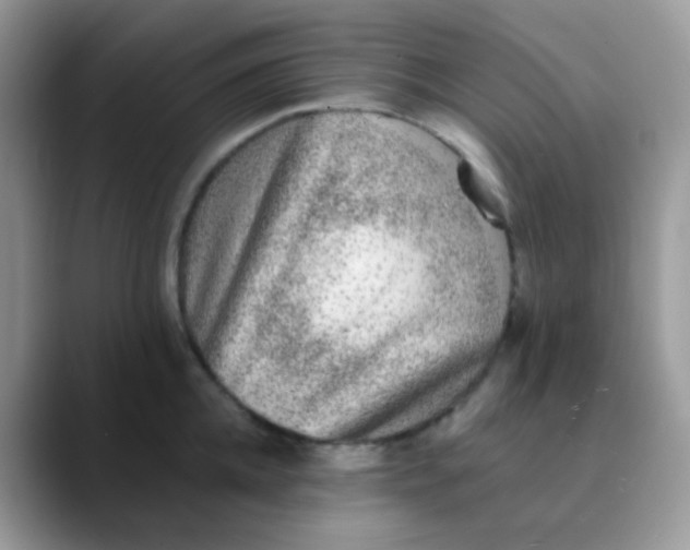 X0000089860952200707191918