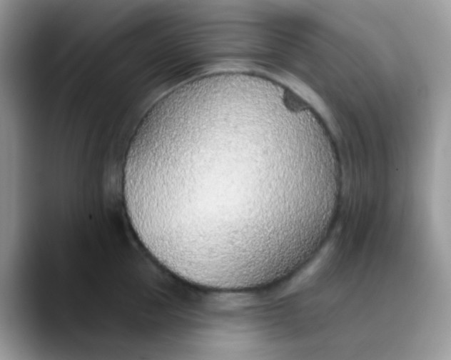 X0000089860953200707191918