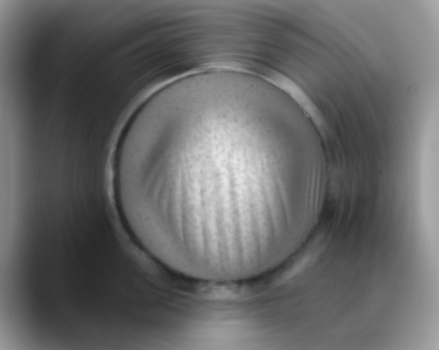 X0000089860955200707191918