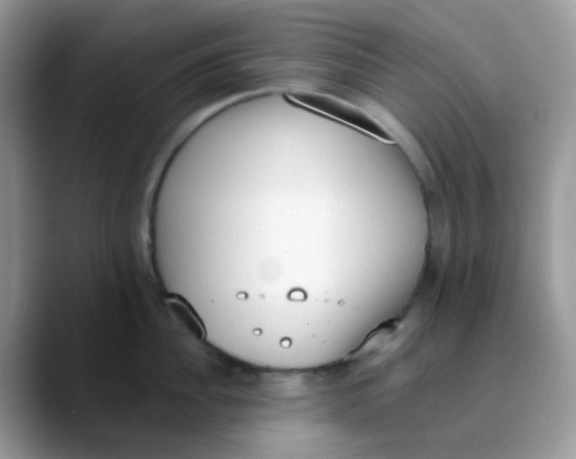 X0000089860956200707191918