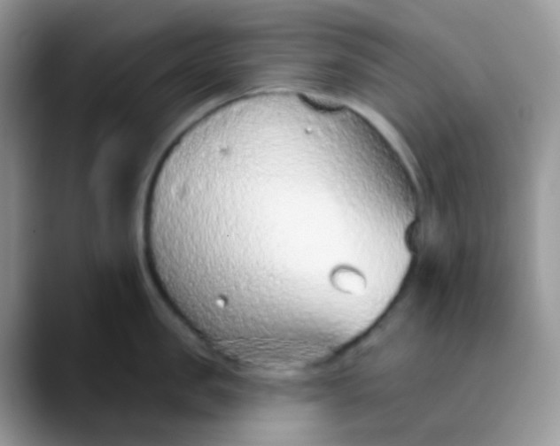 X0000089860957200707191918