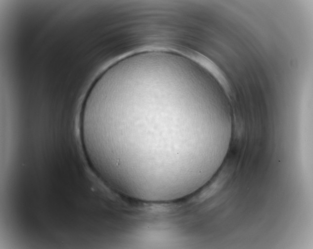 X0000089860958200707191918