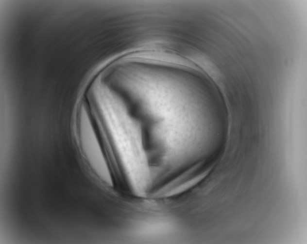 X0000089860960200707191918