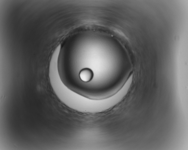 X0000089860965200707191917