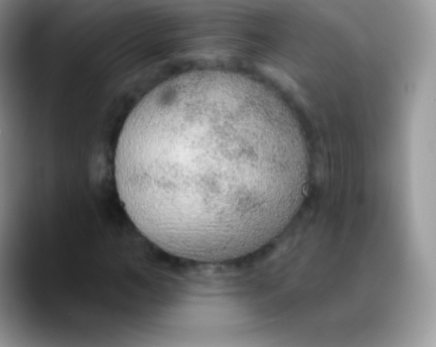 X0000089860966200707191917