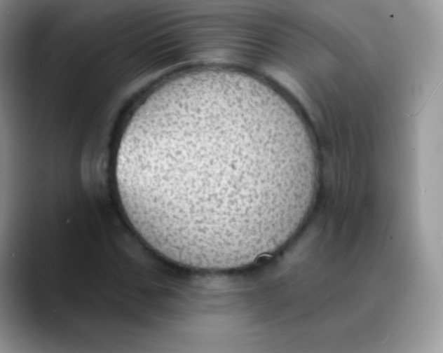 X0000089860971200707191917