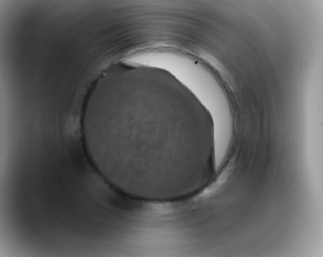 X0000089860977200707191917