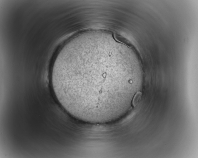 X0000089860979200707191917