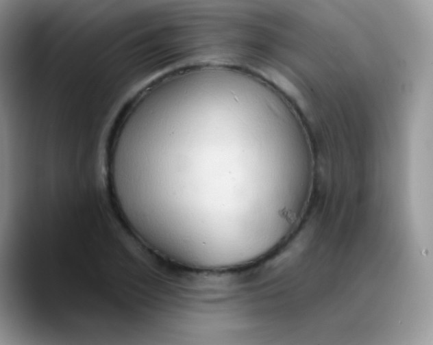 X0000089860981200707191917