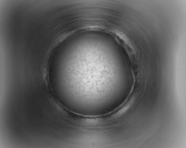 X0000089860985200707191917