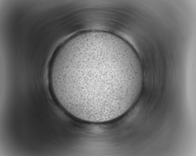 X0000089860987200707191917