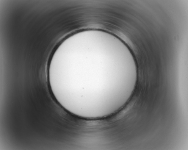 X0000089860988200707191917