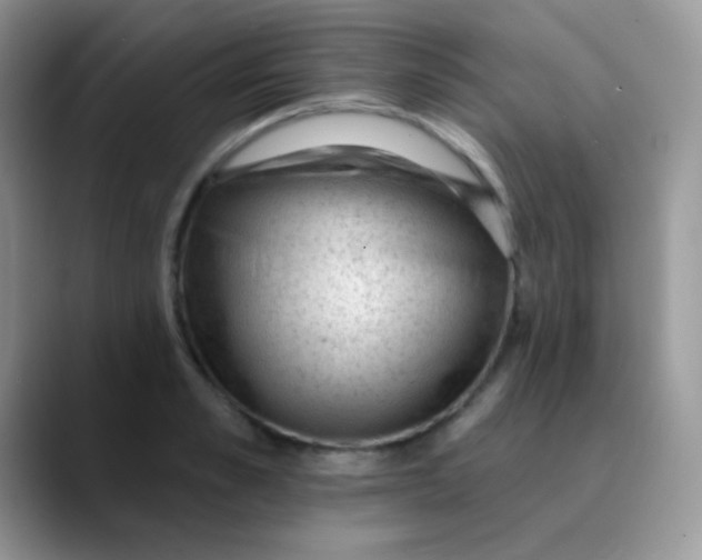 X0000089860989200707191917