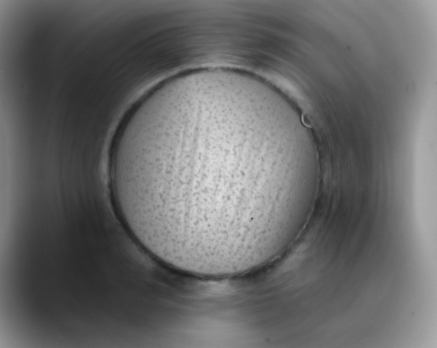 X0000089860990200707191917