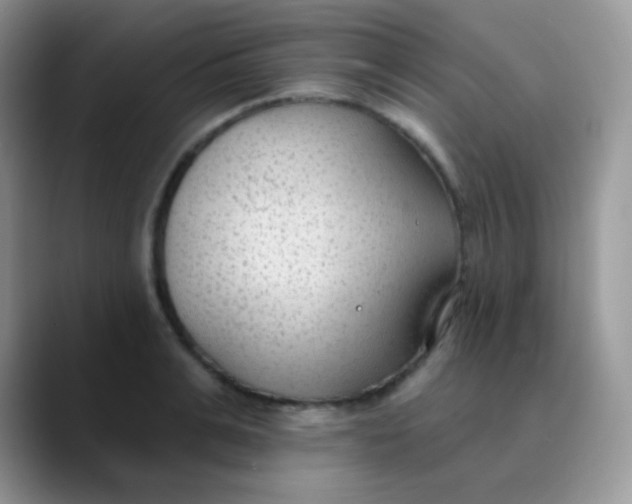 X0000089860991200707191917